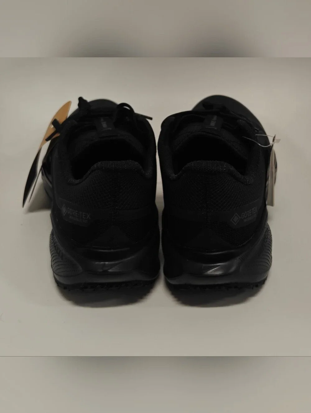 Nike Air Zoom Pegasus 41 GORE-TEX Black Anthracite Women’s Running Shoes